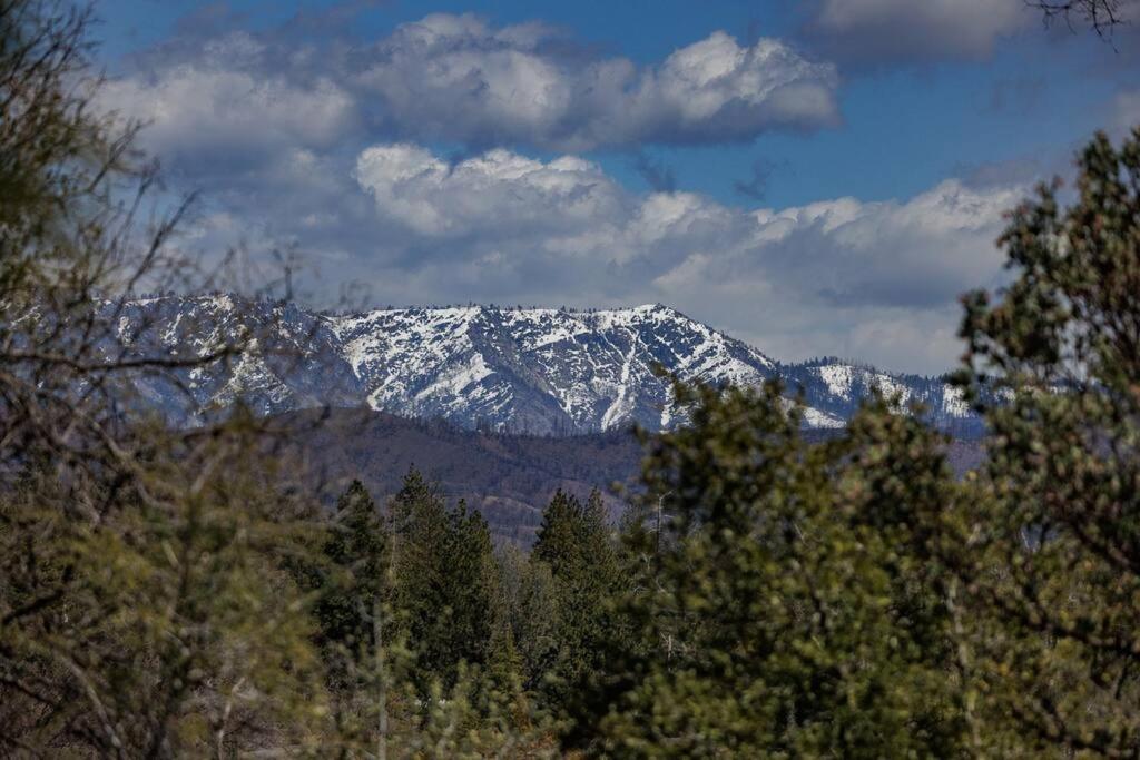 Cozy Cub Cabin, Brand New Near Yosemite *