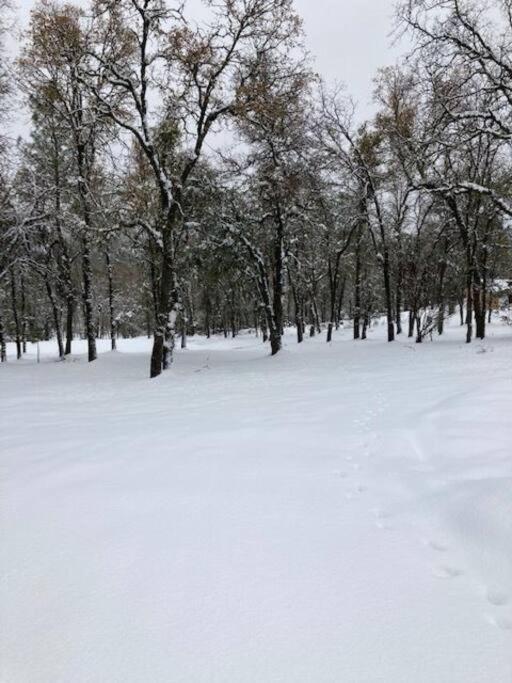 Cozy Cub Cabin, Brand New Near Yosemite * Mariposa