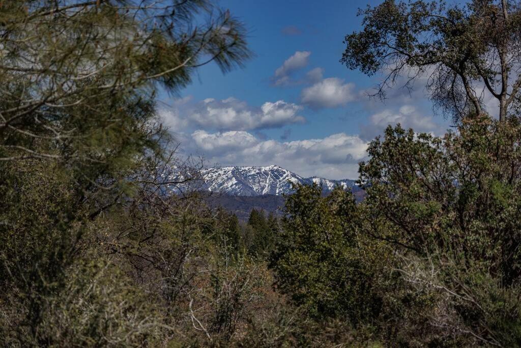 Cozy Cub Cabin, Brand New Near Yosemite Holiday home *